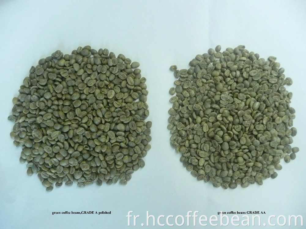 grains de café verts, grains de café arabica, grains de café crus, usine de café